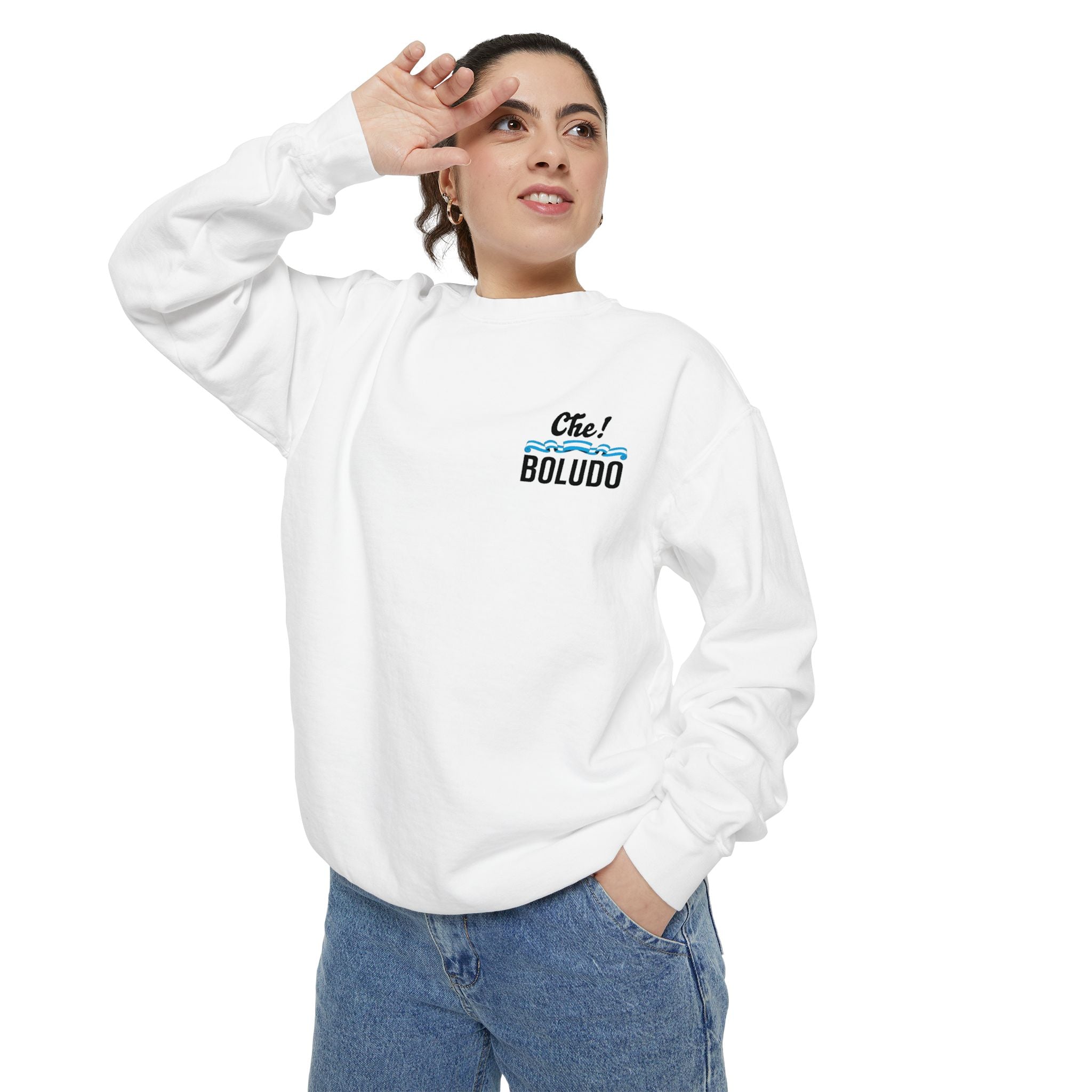 Sweatshirt - Buzo, provincia de Cordoba, Che boludo, fernet ciudad