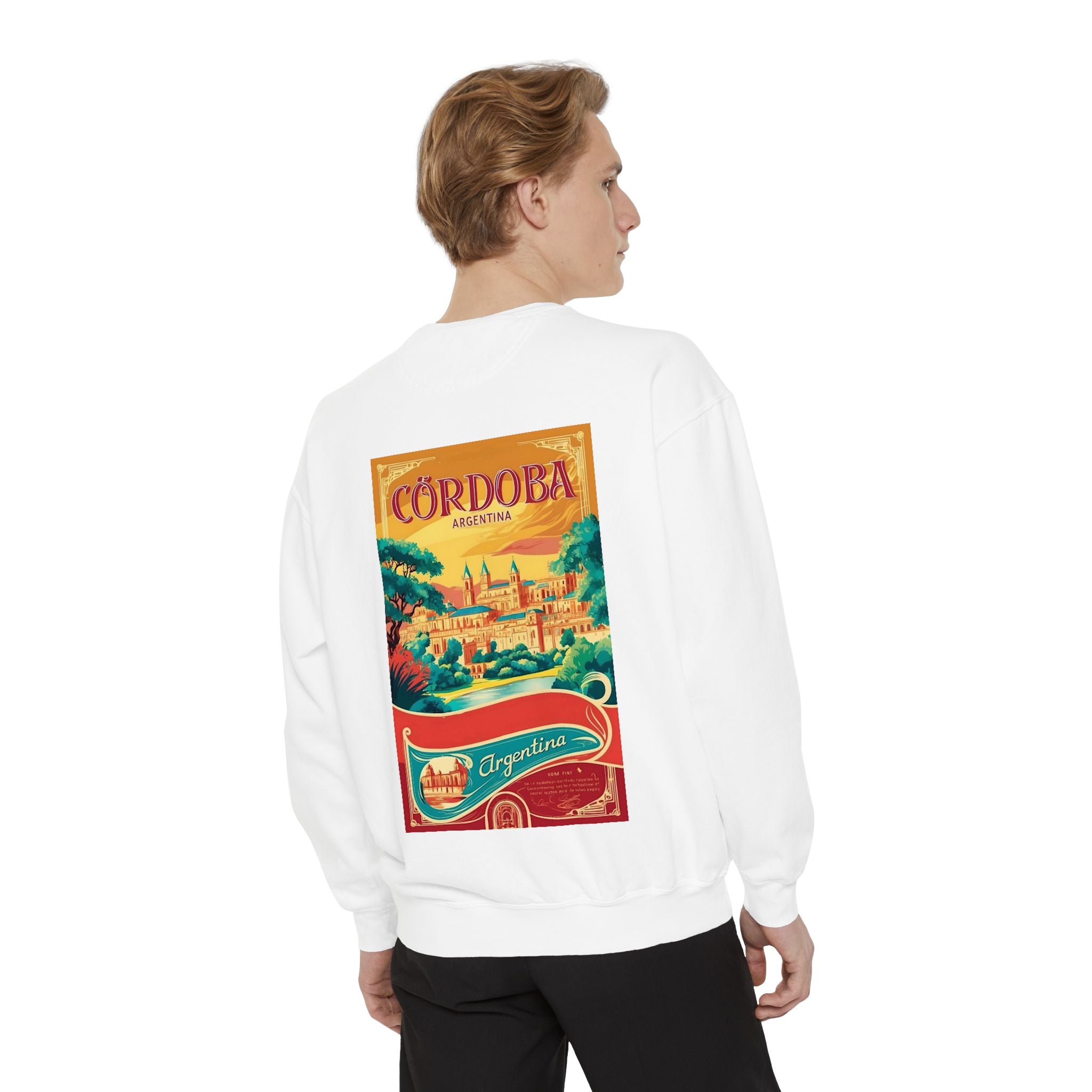 Sweatshirt - Buzo, provincia de Cordoba, Che boludo, fernet ciudad